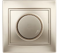 Поворотный светорегулятор Intro 140104 600Вт 230В, IP20, СУ, Plano, шампань Б0030091