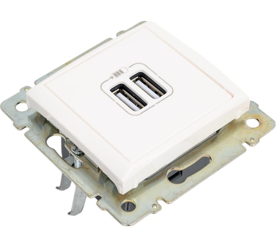 Механизм одноместной розетки Legrand USB 2мод. СП Valena бел. DIY-упак. Leg 694370