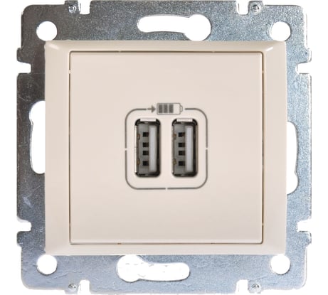 Механизм одноместной розетки Legrand USB 2мод. СП Valena сл. кость DIY-упак. Leg 694372