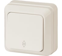 Переключатель Intro 210302 10А 250В, IP20, ОУ, Quadro, слоновая кость Б0027638