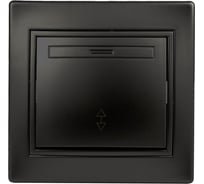 Переключатель Intro 10А 250В, IP20, СУ, Plano, антрацит Б0044562