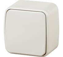 Переключатель Intro 310302 10А 250В, IP20, ОУ, Polo, слоновая кость Б0036119