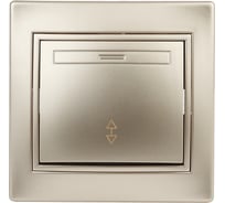 Переключатель Intro 10А 250В, IP20, СУ, Plano, шампань Б0030039