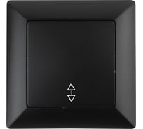 Переключатель Intro 410305 10А 250В, СУ, Solo, антрацит Б0043281