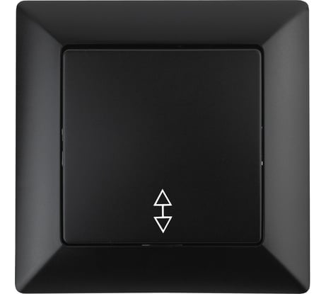 Переключатель Intro 410305 10А 250В, СУ, Solo, антрацит Б0043281