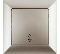 Переключатель Intro 410304 10А 250В, СУ, Solo, шампань Б0043280