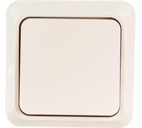 Выключатель Intro 210102 10А, 250В, IP20, ОУ, Quadro, слоновая кость Б0027632