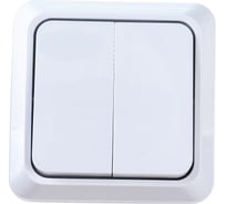 Двойной выключатель Intro 210401 10А, 250В, IP20, ОУ, Quadro, белый Б0027640