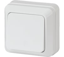 Выключатель Intro 2Э10101 10А, 250В, ОУ, б.м.п., Quadro, белый Б0038836