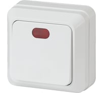 Выключатель с подсветкой Intro 210201 10А, 250В, IP20, ОУ, Quadro, белый Б0027634