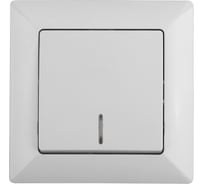 Выключатель с подсветкой Intro 410201 10А, 250В, СУ, Solo, белый Б0043270