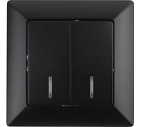 Двойной выключатель с подсветкой Intro 410505 10А, 250В, СУ, Solo, антрацит Б0043295