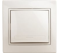 Выключатель Intro 10А, 250В, IP20, СУ, Plano, слоновая кость Б0027596