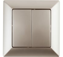 Двойной выключатель Intro 410404 10А, 250В, СУ, Solo, шампань 2 Б0043287