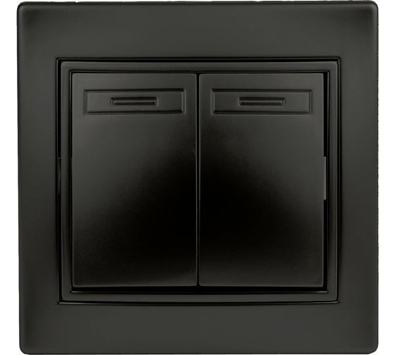 Двойной выключатель Intro 10А, 250В, IP20, СУ, Plano, антрацит Б0044563 1