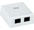 Информационная розетка ITK 2 модуля, RJ45 CAT.6 настенная CS2-1C6U-22 1