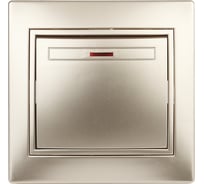 Выключатель с подсветкой Intro 10А, 250В, IP20, СУ, Plano, шампань Б0030035