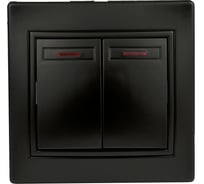 Двойной выключатель с подсветкой Intro 10А-250В, IP20, СУ, Plano, антрацит Б0044564