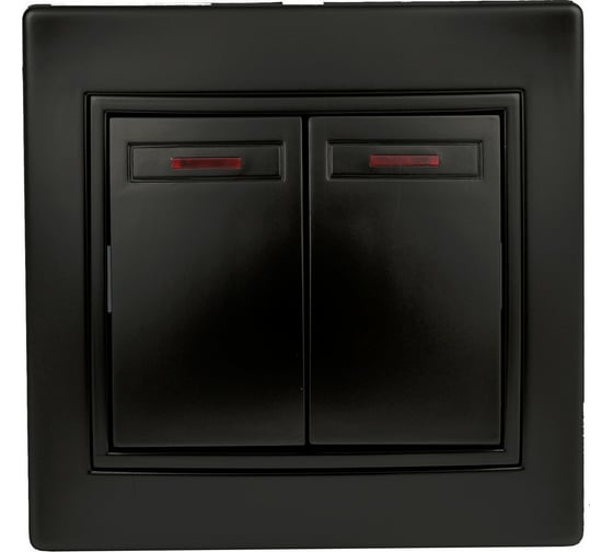 Двойной выключатель с подсветкой Intro 10А-250В, IP20, СУ, Plano, антрацит Б0044564 1