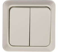 Двойной выключатель Intro 2Э10401 10А, 250В, ОУ, б.м.п., Quadro, белый Б0038839