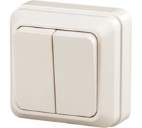 Двойной выключатель Intro 210402 10А, 250В, IP20, ОУ, Quadro, слоновая кость Б0027641