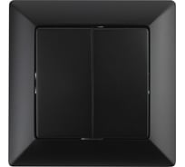 Двойной выключатель Intro 410405 10А, 250В, СУ, Solo, антрацит Б0043288