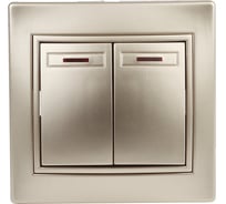 Двойной выключатель с подсветкой Intro 10А, 250В, IP20, СУ, Plano шампань Б0030047