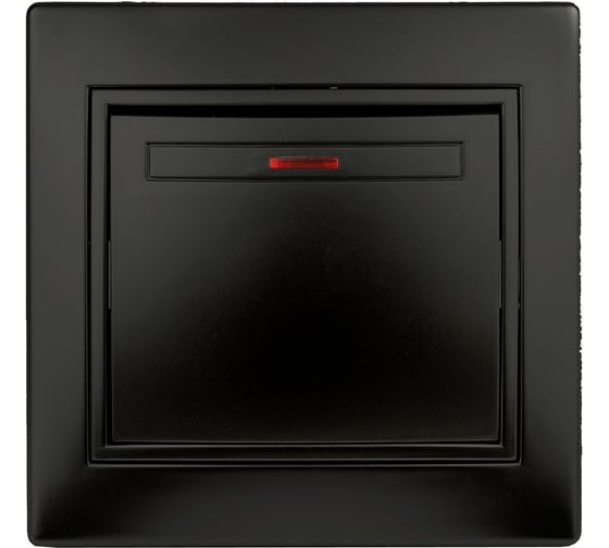Выключатель с подсветкой Intro 10А, 250В, IP20, СУ, Plano, антрацит Б0044561 1