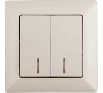 Двойной выключатель с подсветкой Intro 410502 10А, 250В, СУ, Solo, слоновая кость Б0043292