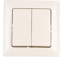 Двойной выключатель Intro 410402 10А, 250В, СУ, Solo, слоновая кость Б0043285