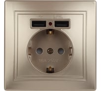 Розетка+USB Intro 141004 IP20, СУ, Plano, шампань Б0043250