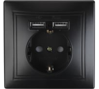 Розетка+USB Intro 141005 IP20, СУ, Plano, антрацит Б0044578