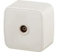 Розетка TV Intro 330102 одиночная, IP20, ОУ, Polo, слоновая кость Б0036133