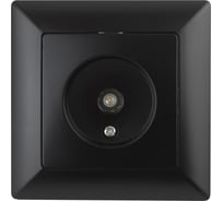 Розетка TV Intro 430105 одиночная, СУ, Solo, антрацит Б0043372