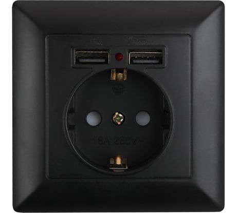 Розетка Intro 441005 PE Schuko со шторками, 16А, 250В 2хUSB, СУ, Solo, Б0043407
