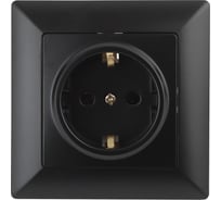 Розетка Intro 420205 2PE Schuko, 16А, 250В, СУ, Solo, антрацит 2 Б0043316