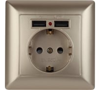 Розетка+USB Intro 441004 PE Schuko со шторками, 16А, 250В 2хUSB, СУ, Solo, Б0043406