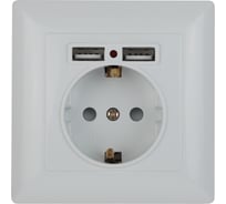 Розетка+USB Intro 441001 PE Schuko со шторками, 16А, 250В 2хUSB, СУ, Solo, Б0043403