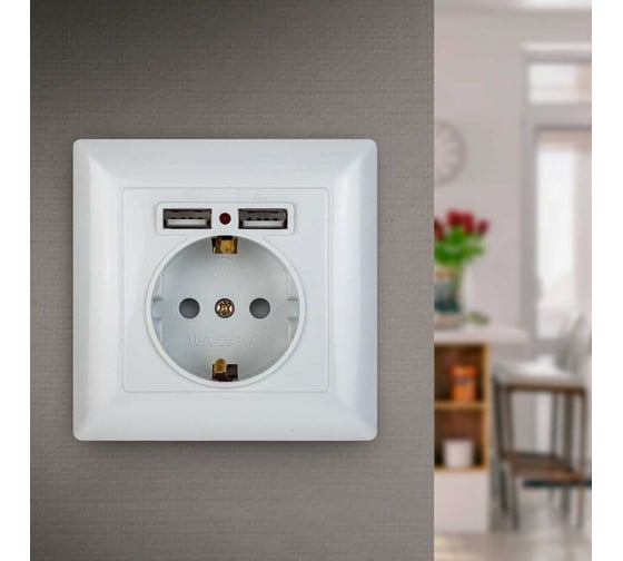 Розетка+USB Intro 441001 PE Schuko со шторками, 16А, 250В 2хUSB, СУ, Solo, Б0043403