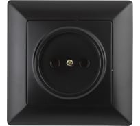 Розетка Intro 420105 2P, 16А, 250В, СУ, Solo, антрацит Б0043309