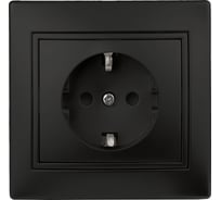 Розетка Intro 2P+E Schuko, 16А, 250В, IP20, СУ, Plano, антрацит Б0044567