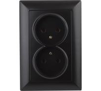 Розетка Intro 420405 2х2P, 16А, 250В, СУ, Solo, антрацит Б0043330