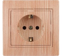 Розетка Intro 2PE Schuko, 16А, 250В, IP20, СУ, Plano, сосна Б0030061