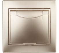 Розетка Intro 2P+E Schuko с крышкой, 16А, 250В, IP20, СУ, Plano, шампань Б0030063