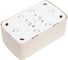 Розетка Intro 320402 2х2PE Schuko,16А, 250В, IP20, ОУ, Polo, слоновая кость Б0036131 4