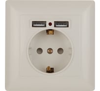 Розетка+USB Intro 441002 PE Schuko со шторками, 16А, 250В 2хUSB, СУ, Solo, Б0043404