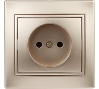 Розетка Intro 2P, 16А, 250В, IP20, СУ, Plano, шампань Б0030055