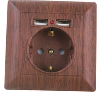 Розетка+USB Intro 441010 PE Schuko со шторками, 16А, 250В 2хUSB, СУ, Solo, Б0043408
