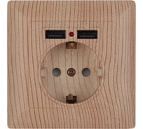 Розетка+USB Intro 441011 PE Schuko со шторками, 16А, 250В 2хUSB, СУ, Solo, Б0043409