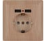 Розетка+USB Intro 441011 PE Schuko со шторками, 16А, 250В 2хUSB, СУ, Solo, Б0043409 1